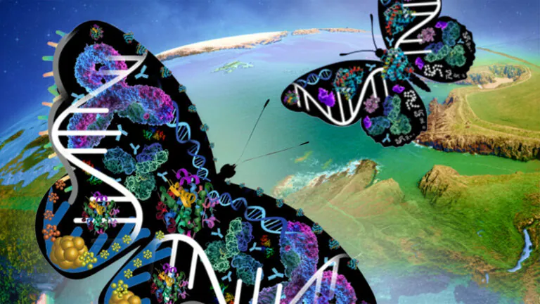 An illustration of digitally-created butterflies consisting of proteins and DNA helixes flying far above a stylized coastline.